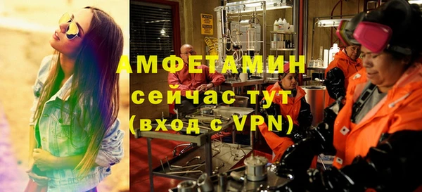 индика Ростов